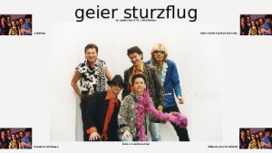 geier sturzflug 001