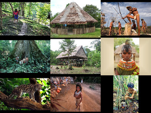 indigenouspeopleoftheamazon