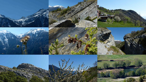 Rotafen Valais - Rotafen Wallis (Schweiz)