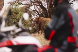 Ducati V4 Rally in Kenia