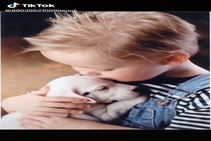 Dogs & Children - Hunde & Kinder