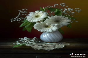 Flowers (Stillife) - Blumen (Stilleben)