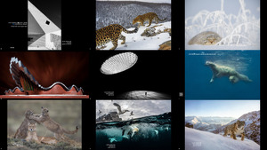 Siena International Photo Awards 2022 (5-3)