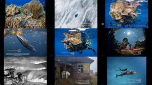 Ocean Photographer of the Year Competition 2022 (2-2)