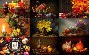 Fall Still Lifes - Herbststillleben