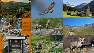 Gran Paradiso-Nationalpark