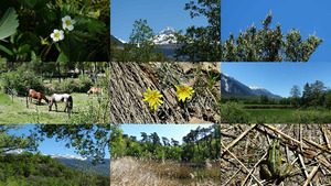 Sierre in der Natur