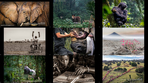 BENJAMIN MAKPA African Wildlife Photography Awards 2022 (2-1