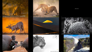 BENJAMIN MAKPA African Wildlife Photography Awards 2022 (2-2