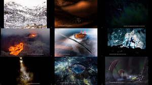 European Wildlife Photographer Of The Year 2022 (2-1)