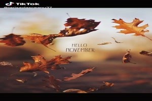 Hello November - Hallo November