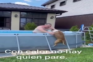 Hund will unbedingt in den Pool