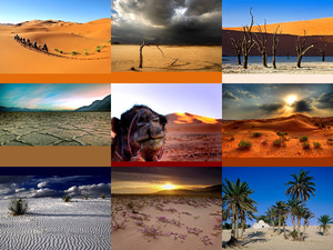 Desert scenes wste