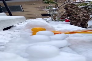 Schnee-Enten formen