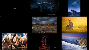 Nature TTL Photographer of the Year 2022 - Natur