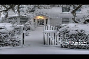Winter images - Winterbilder
