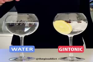 Water - Gin Tonic