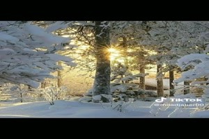 Absolutely beautiful snow pictures - Schneebilder