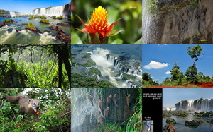 Nationalpark Iguazu
