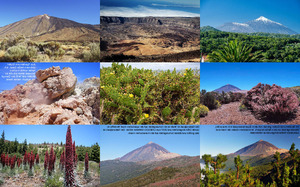 Teide-Nationalpark