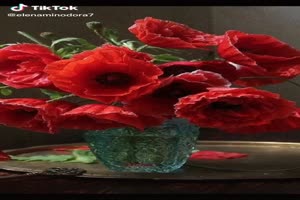 Red Flowers - Rote Blumen