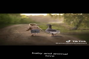 Baby and animal love - Baby - und Tierliebe
