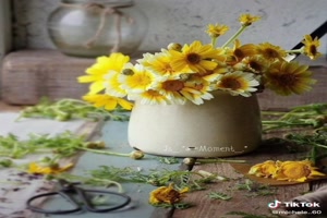 Sfeer foto's met bloemen - Stimmungsfotos mit Blumen