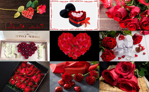 Valentine Day's Roses - Rosen zum Valentinstag
