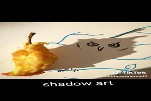 Shadow art - Schattenkunst