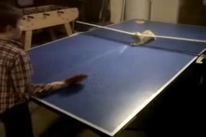 Tischtennis mit der Katze