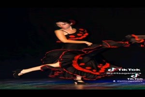 Flamenco - der Flamenco