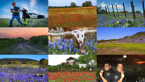Wildflowers of Texas-Wildblumen von Texas