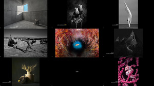 2023 Sony World Photography Award - Open competition Winners