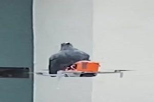 Tauben-Drohne