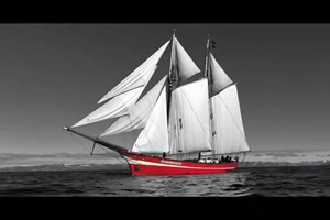 BILLY VAUGHN - Sail Along Silvery Moon