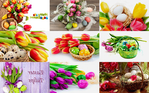 Oster Easter Tulips - Ostern Tulpen