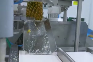 Ananas-Verarbeitung
