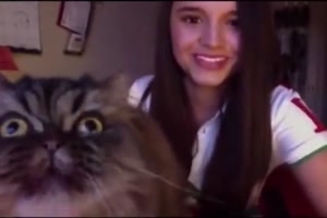 Von-der-Katze-unterbrochen.mp4 auf www.funpot.net