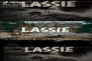 Lassie Theme