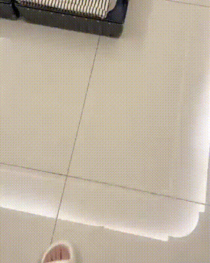 Katze passt genau rein