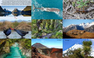 Neuseelands-Nationalparks-01.ppsx auf www.funpot.net