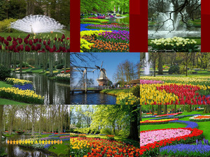 Keukenhof