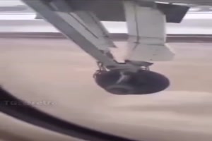 Fliegen-in-der-Holzklasse.mp4 auf www.funpot.net