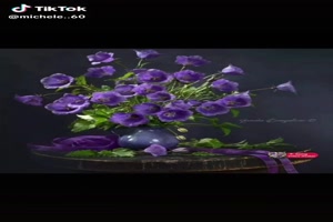 Bellissimi fiori - Schne Blumen