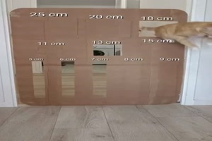 Immer-neue-Herausforderungen.mp4 auf www.funpot.net