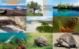 Galapagos-Nationalpark