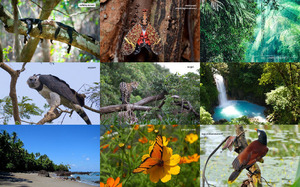 Naturschutz in Costa Rica 01
