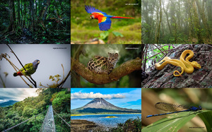 Naturschutz in Costa Rica 02