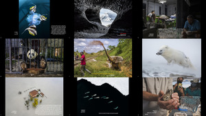 PA2F Environmental Photography Award 2023 (1)