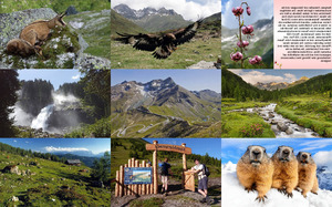 Nationalpark Hohe Tauern